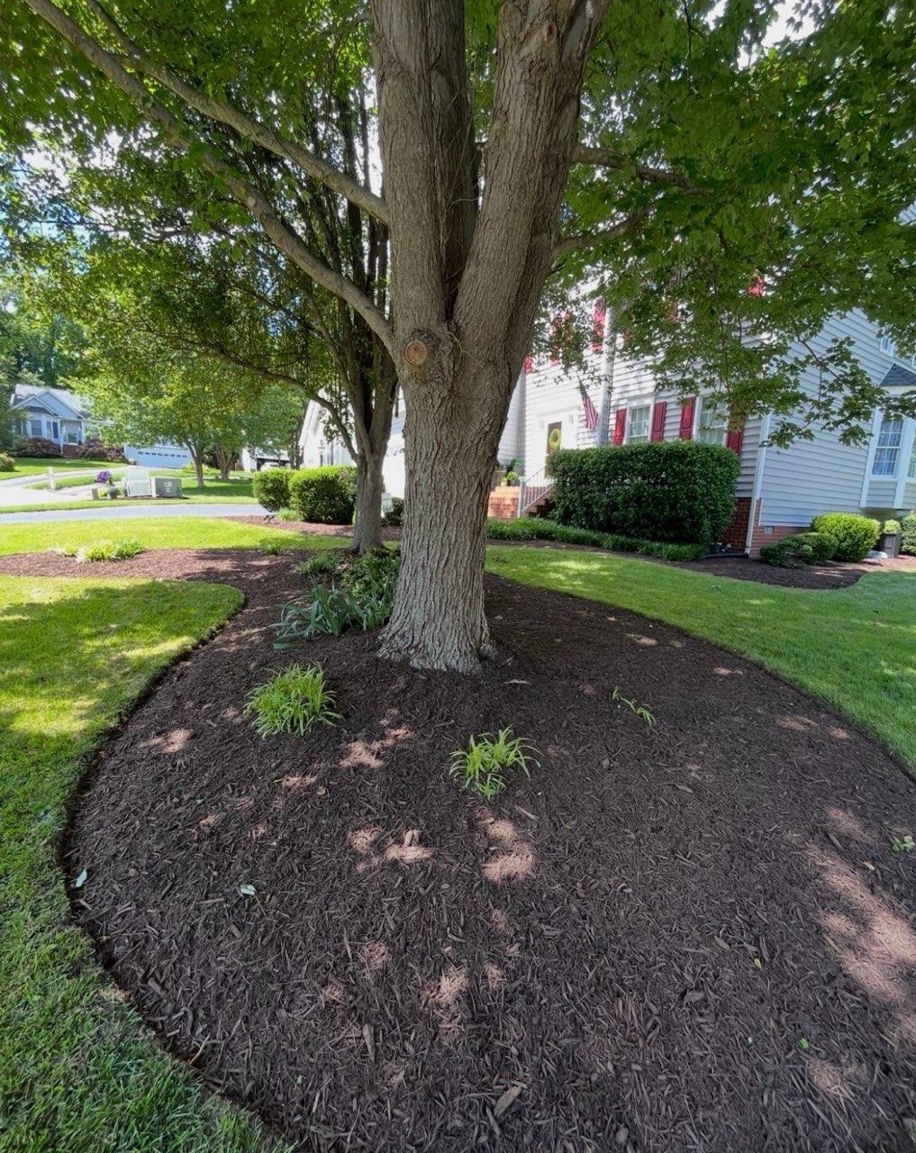 Exterior house washing results - Glen Allen VA